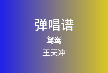 鸳鸯吉他谱_王天冲_G调弹唱六线谱