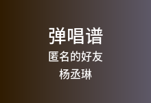 匿名的好友吉他谱_杨丞琳_C调弹唱六线谱