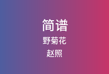 野菊花简谱_赵照_降E调歌曲简谱