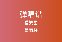 看繁星吉他谱_葡萄籽_C调弹唱六线谱