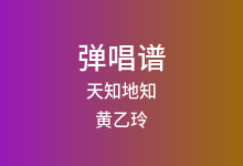 天知地知吉他谱_黄乙玲_G调弹唱六线谱