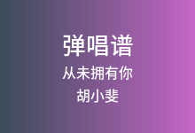 从未拥有你吉他谱_胡小斐_G调弹唱六线谱