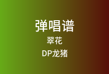 翠花吉他谱_DP龙猪/王云宏/陷阱表哥_C调弹唱六线谱