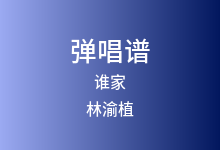 谁家吉他谱_林渝植_G调弹唱六线谱