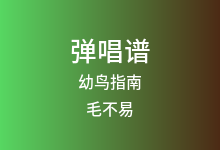 幼鸟指南吉他谱_毛不易_G调弹唱六线谱