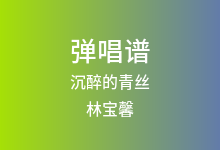 沉醉的青丝吉他谱_林宝馨_C调弹唱六线谱