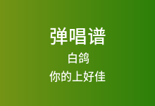 白鸽吉他谱_你的上好佳_C调弹唱六线谱