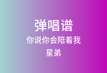 你说你会陪着我吉他谱_星弟_C调弹唱六线谱
