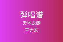 天地龙鳞吉他谱_王力宏_G调弹唱六线谱(版本2)
