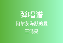 阿尔茨海默的爱吉他谱_王鸿昊_C调弹唱六线谱(版本3)