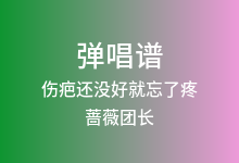 伤疤还没好就忘了疼吉他谱_蔷薇团长_C调弹唱六线谱