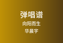 向阳而生吉他谱_华晨宇_G调弹唱六线谱