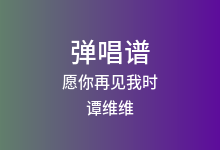 愿你再见我时吉他谱_谭维维_G调弹唱六线谱