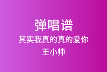 其实我真的真的爱你吉他谱_王小帅_C调弹唱六线谱