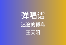 迷途的孤鸟吉他谱_王天阳_C调弹唱六线谱