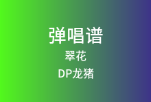 翠花吉他谱_DP龙猪/王云宏/陷阱表哥_G调弹唱六线谱(版本2)
