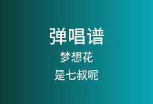 梦想花吉他谱_是七叔呢_C调弹唱六线谱