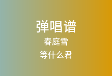 春庭雪吉他谱_等什么君_G调弹唱六线谱(版本2)