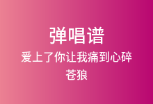 爱上了你让我痛到心碎吉他谱_苍狼_C调弹唱六线谱