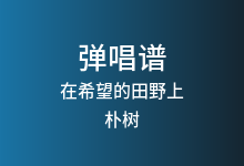 在希望的田野上吉他谱_朴树_G调弹唱六线谱
