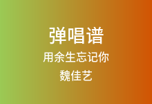 用余生忘记你吉他谱_魏佳艺_G调弹唱六线谱