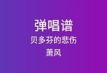 贝多芬的悲伤吉他谱_萧风_C调弹唱六线谱