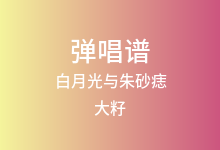 白月光与朱砂痣吉他谱_大籽_G调弹唱六线谱(版本5)