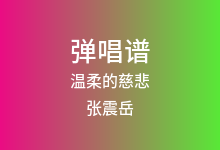 温柔的慈悲吉他谱_张震岳_G调弹唱六线谱(版本2)