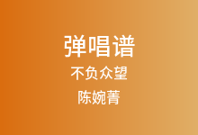 不负众望吉他谱_陈婉菁_G调弹唱六线谱