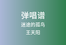 迷途的孤鸟吉他谱_王天阳_G调弹唱六线谱(版本2)