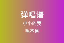 小小的我吉他谱_毛不易_C调弹唱六线谱
