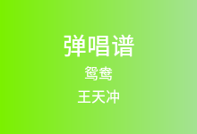 鸳鸯吉他谱_王天冲_G调弹唱六线谱(版本2)