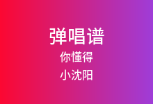 你懂得吉他谱_小沈阳/沈春阳_C调弹唱六线谱(版本2)