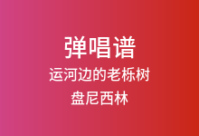 运河边的老栎树吉他谱_盘尼西林_C调弹唱六线谱