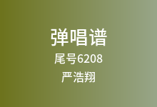 尾号6208吉他谱_严浩翔_D调弹唱六线谱