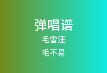毛雪汪吉他谱_毛不易/王雪琴_C调弹唱六线谱