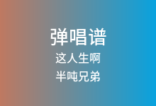 这人生啊吉他谱_半吨兄弟_C调弹唱六线谱