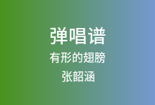 有形的翅膀吉他谱_张韶涵_G调弹唱六线谱