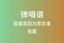 寂寞是因为思念谁吉他谱_张磊_C调弹唱六线谱