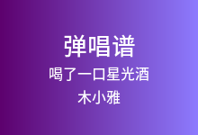 喝了一口星光酒吉他谱_木小雅_C调弹唱六线谱