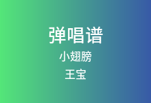 小翅膀吉他谱_王宝/正午阳光_G调弹唱六线谱