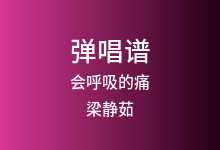 会呼吸的痛吉他谱_梁静茹_G调弹唱六线谱(版本2)