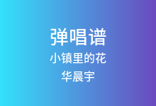 小镇里的花吉他谱_华晨宇_C调弹唱六线谱(版本2)