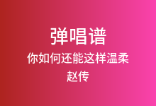 你如何还能这样温柔吉他谱_赵传_C调弹唱六线谱