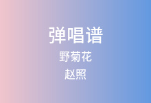 野菊花吉他谱_赵照_C调弹唱六线谱(版本2)