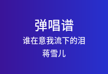 谁在意我流下的泪吉他谱_蒋雪儿_C调弹唱六线谱