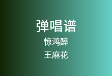 惊鸿醉吉他谱_王麻花_G调弹唱六线谱