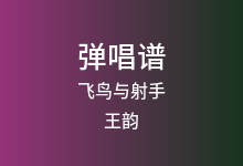 飞鸟与射手吉他谱_王韵_C调弹唱六线谱