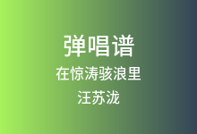 在惊涛骇浪里吉他谱_汪苏泷_G调弹唱六线谱