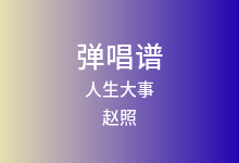 人生大事吉他谱_赵照_G调弹唱六线谱(版本2)